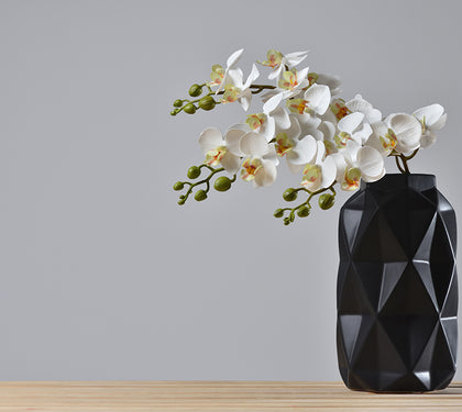 Orkide; Asaletin Ve Zarafetin Sembolü