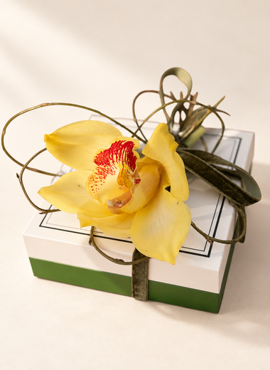 Mini Chocolate Box 100gr