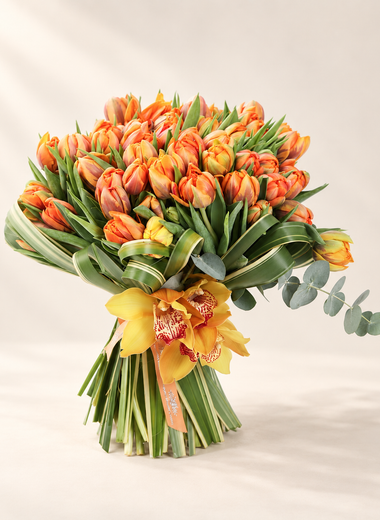 Orange Tulipe