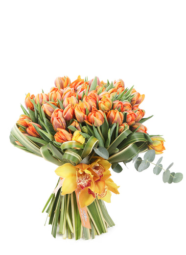 Orange Tulipe