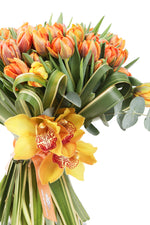 Orange Tulipe