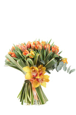 Orange Tulip