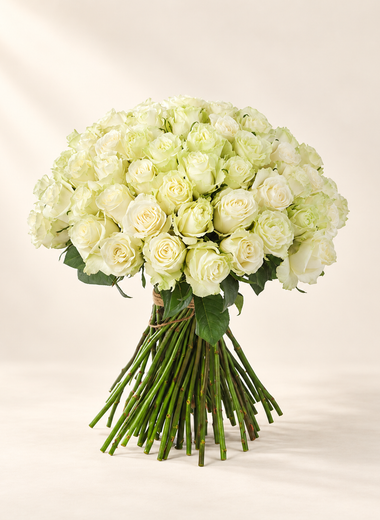 White Rose Charm (50 Gül)