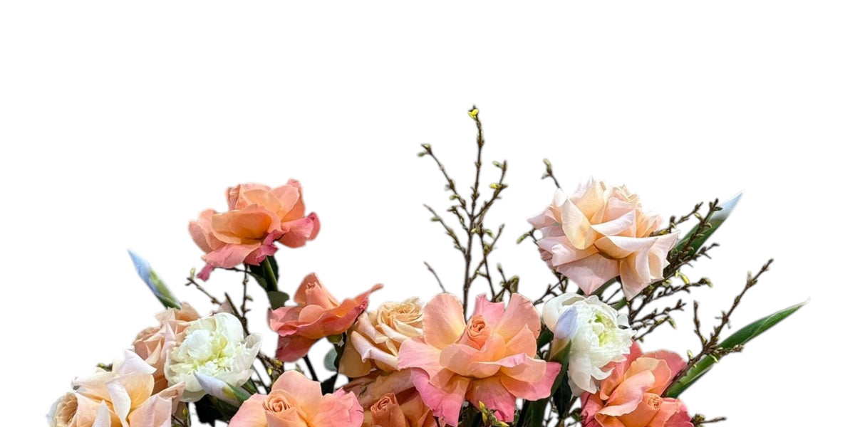 Bloom Normal Love Bloom – Gazebo Flowers