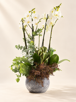 Orchid Bowl