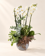Orchid Bowl