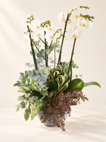 Orchid Bowl