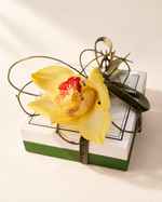 Mini Chocolate Box 100gr