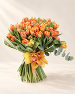 Orange Tulipe