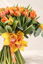 Orange Tulipe