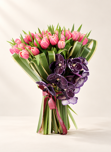 Pink Tulipe