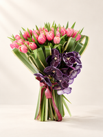 Pink Tulipe