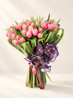 Pink Tulipe