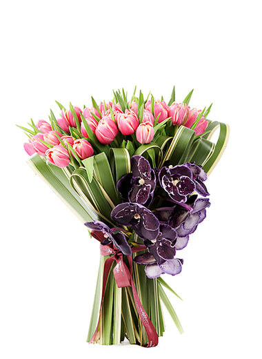 Pink Tulipe