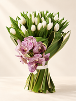 White Tulip